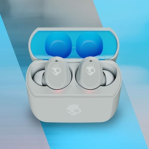 Skullcandy Mod Earbuds